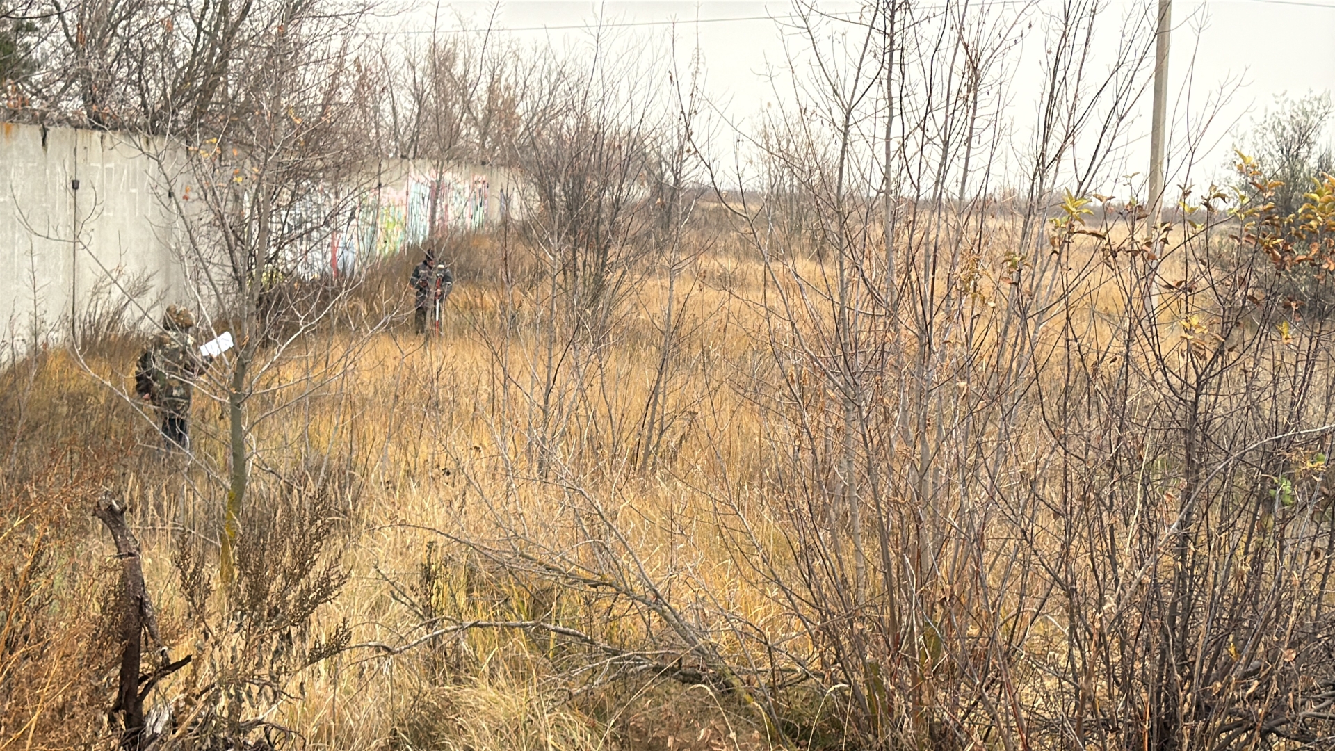 9b1ebeb4 2201 44cd acc1 d8c29cbe0557 71b63 resized