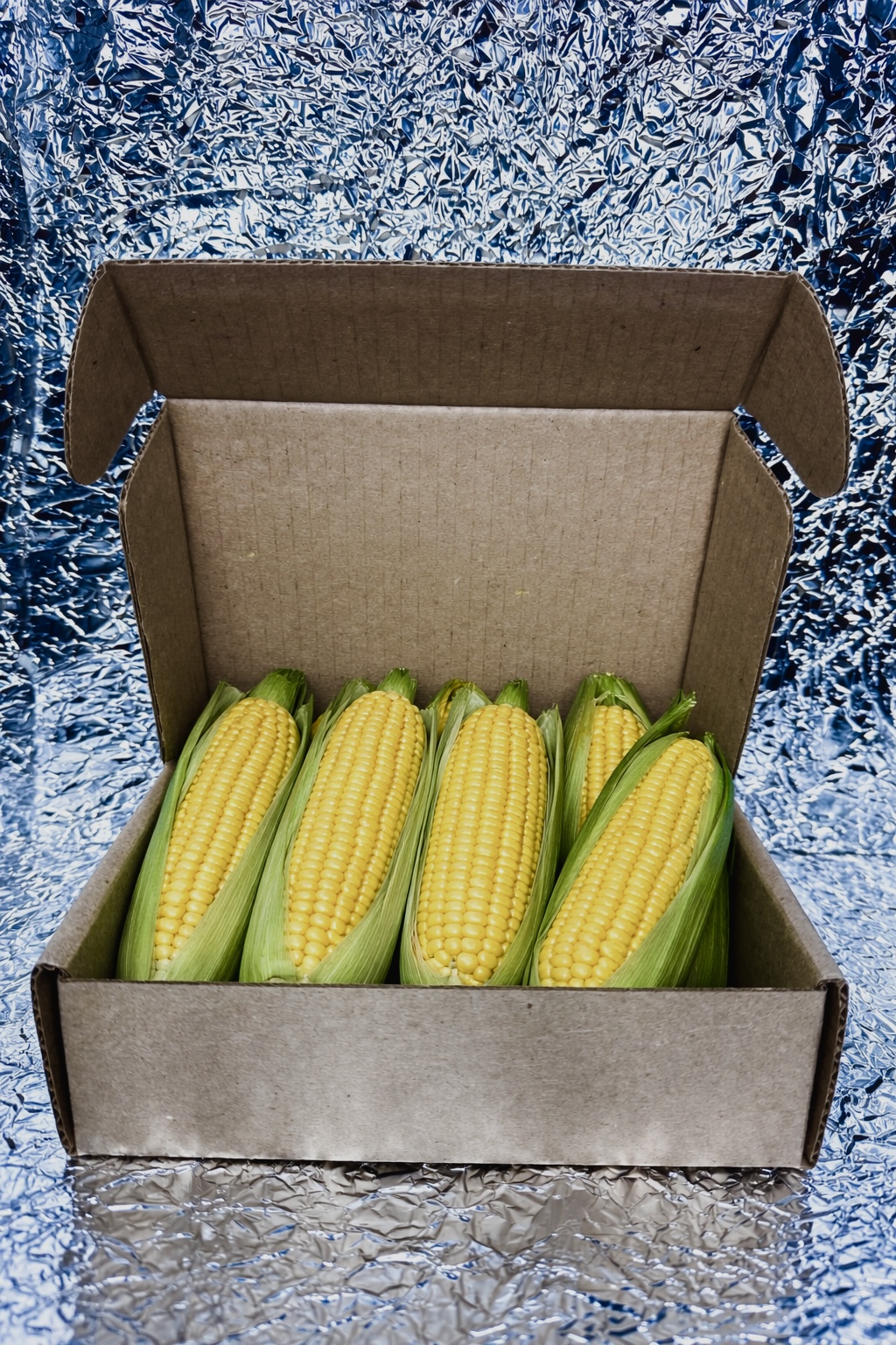 image 13 01 26 09 51 25754